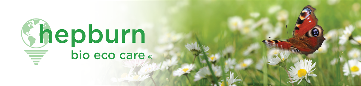 01 - Section Title, Eco Care