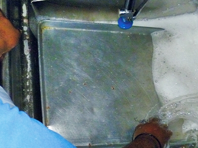 Hepburn Bio Manual Dishwash