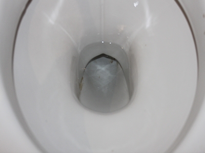 Hepburn Bio Scale Zapper